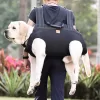 Large Dog Support Carrier - Image 3