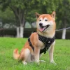 Control Vest for Large Dogs - Image 2