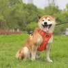 Control Vest for Large Dogs - Image 4