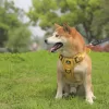 Control Vest for Large Dogs - Image 5
