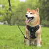 Control Vest for Large Dogs